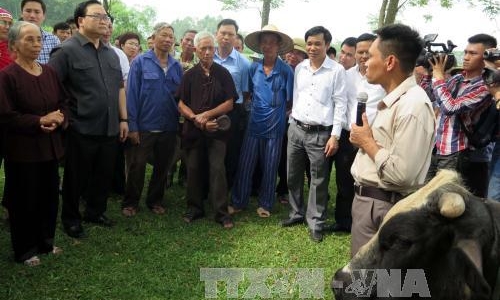 Bí thư Thành ủy Hà Nội: Tạo điều kiện thuận lợi cho phát triển chăn nuôi theo hướng hàng hóa