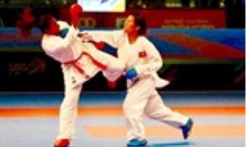 Lần đầu tiên võ sĩ Việt Nam giành HCV karatedo thế giới