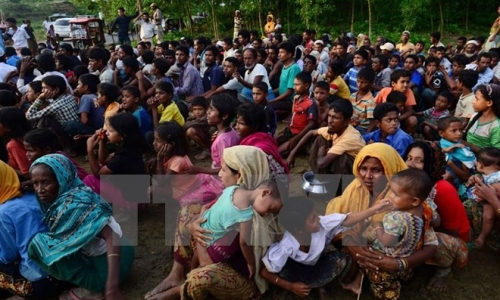 Liên hợp quốc: Đã có 313.000 người Rohingya chạy sang Bangladesh