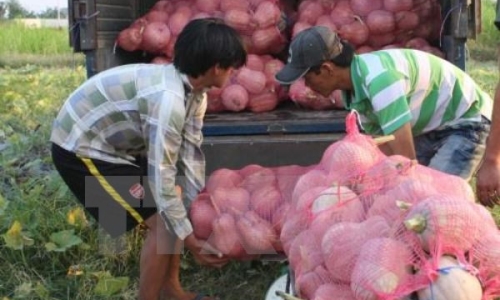 Tạo cơ chế hấp dẫn thu hút doanh nghiệp đầu tư vào nông nghiệp