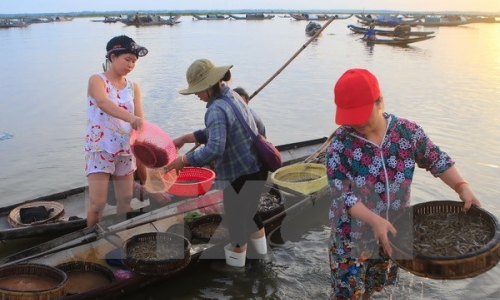 Thừa Thiên​-Huế: 7 dự án trọng điểm nhằm khai thác tốt hệ đầm phá Tam Giang