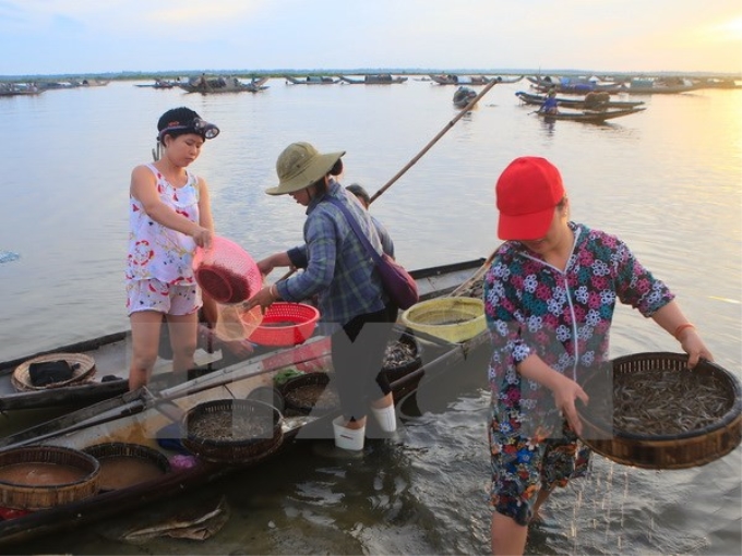 Nhộn nhịp cuộc sống trên đầm Quảng Lợi lúc bình minh. (Ảnh: TTXVN)