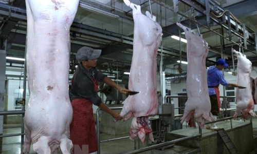 Điều chỉnh giá thịt lợn cho doanh nghiệp tham gia bình ổn thị trường