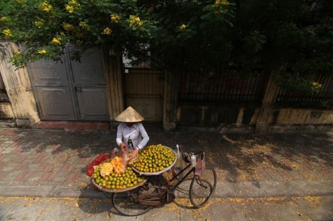 Ảnh minh họa. (Nguồn: Vietnam+)