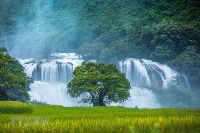 Thác Bản Giốc được xem là một trong những tặng vật vô giá mà thiên nhiên ban tặng cho Cao Bằng. (Ảnh: Trọng Đạt/TTXVN)