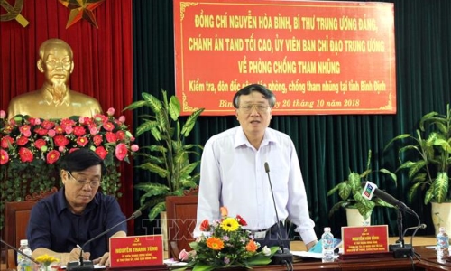 Đoàn công tác Ban Chỉ đạo Trung ương về phòng, chống tham nhũng làm việc tại Bình Định