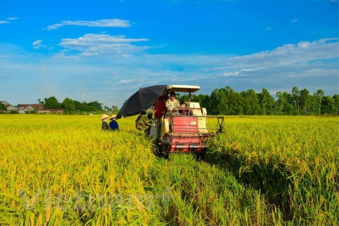 (Ảnh minh họa: Vietnam+)