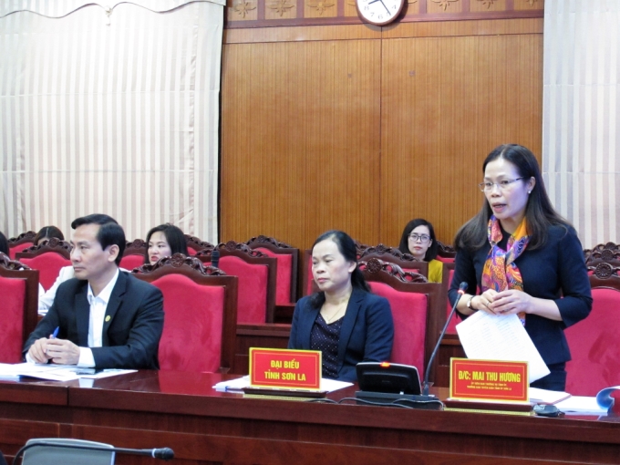 Mai Thu Hương (Trưởng Ban Tuyên giáo Tỉnh ủy Sơn La): cần sớm cụ thể hóa qui hoạch báo chí