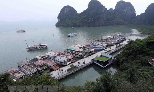 Quảng Ninh ngăn chặn vấn nạn đeo bám tàu du lịch ở vịnh Hạ Long