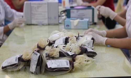 Thành phố Hồ Chí Minh: Khan hiếm máu dự trữ dịp Tết Nguyên đán