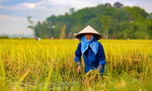 Ngày 11/12, bắt đầu Đại hội toàn quốc Hội Nông dân Việt Nam lần thứ 7