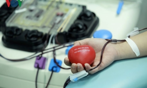 Cần 90.000 đơn vị máu phục vụ khám chữa bệnh dịp cuối năm