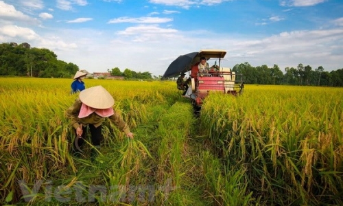 Dấu ấn của tăng trưởng ngành nông nghiệp trong năm 2018