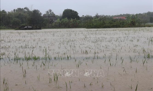 Các tỉnh, thành phố từ Quảng Bình đến Phú Yên chủ động phòng tránh, giảm nhẹ thiệt hại do mưa lũ, sạt lở đất