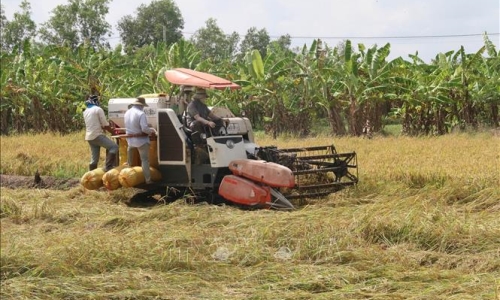 Phát huy vai trò Hội Nông dân Việt Nam trong phát triển "tam nông"