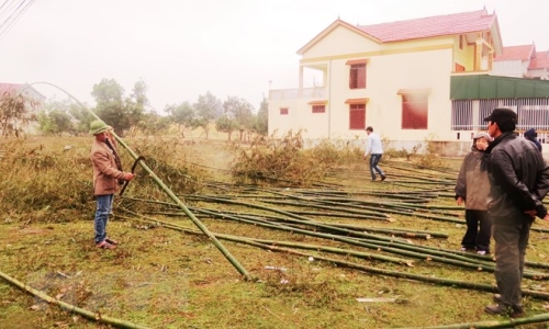 Lưu giữ Tết xưa qua tục dựng nêu ngày cuối năm ở làng biển