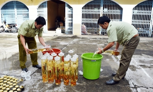 Nhận diện những loại rượu dễ gây ngộ độc cao dịp Tết Nguyên đán