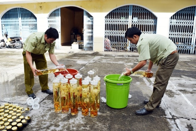 Lực lượng chức năng tiến hành tiêu hủy số rượu ngâm không rõ nguồn gốc xuất xứ. (Ảnh: TTXVN)