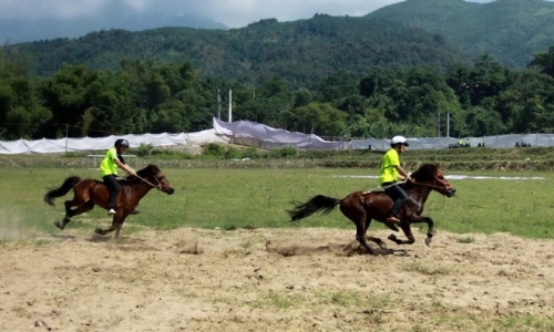 Giải đua ngựa, đấu ngựa truyền thống Phù Lưu 2018: Bảo tồn và phát huy giá trị văn hóa vùng cao