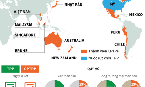 CPTPP thúc đẩy giao thương và tạo cầu nối cho hội nhập khu vực