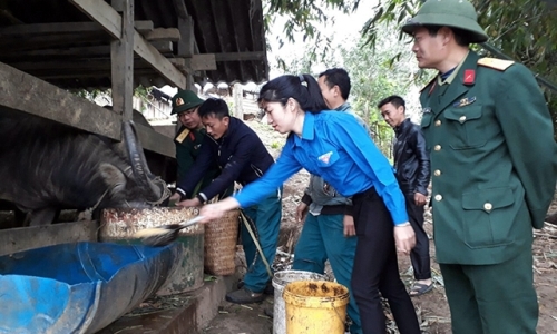 Nặng tình với dân bản