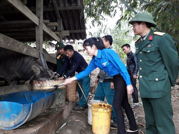 Cán bộ, nhân viên, trí thức trẻ tình nguyện Ðội sản xuất số 2, Ðoàn KT-QP 345 (Quân khu 2) giúp người dân xã A Mú Sung, huyện Bát Xát (tỉnh Lào Cai) gia cố chuồng trại gia súc, gia cầm.