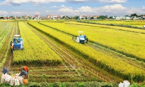 Phát triển nông nghiệp công nghệ cao gắn với cơ cấu lại ngành nông nghiệp nước ta từ góc nhìn thể chế