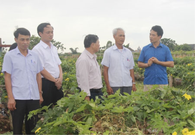 Lãnh đạo Hội Nông dân tỉnh tham quan mô hình trồng rau sạch của hội viên tại xã Thượng Kiệm (Kim Sơn). Ảnh: Trường Giang