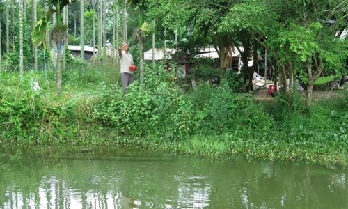 Mô hình trang trại cho doanh thu gần 4 tỷ đồng mỗi năm