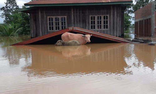 Lào thiệt hại nặng nề về người và của do hậu quả lũ lụt