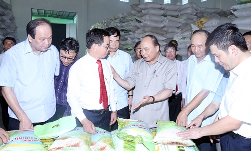 Nỗ lực xây dựng đội ngũ cán bộ quản lý nông nghiệp ở Thái Bình