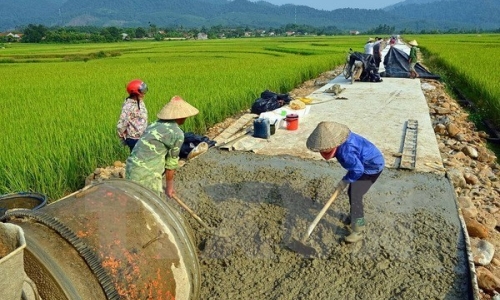 Chuẩn bị tổ chức Hội nghị trực tuyến toàn quốc về tam nông