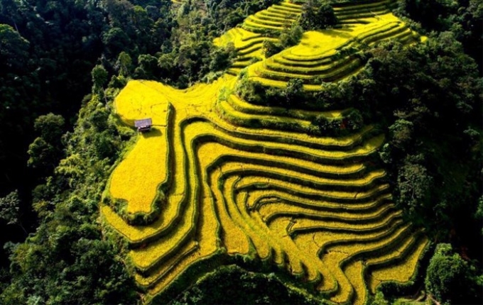 Ruộng bậc thang hấp dẫn nhiều du khách. (Ảnh: Vũ Bắc/Vietnam+)