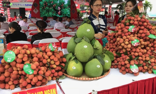 Khai mạc Tuần lễ vải thiều Lục Ngạn-Bắc Giang tại Hà Nội