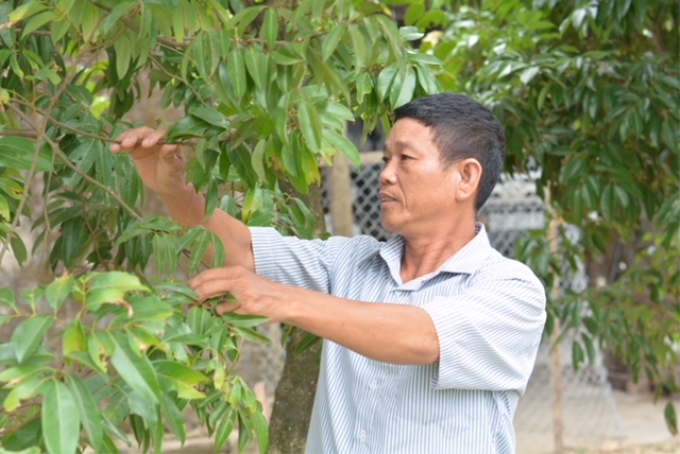 Với cương vị là người đứng đầu cấp ủy chi bộ, ông Nguyễn Văn Mến luôn dành nhiều thời gian cho việc làng.