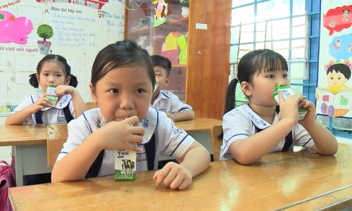 Hơn 300.000 học sinh TP Hồ Chí Minh sẽ được uống sữa học đường