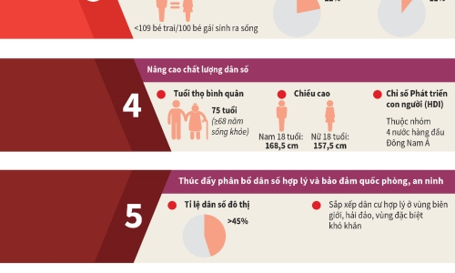 8 mục tiêu Chiến lược Dân số Việt Nam đến năm 2030