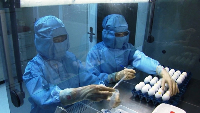 iệt Nam đã sản xuất thành công vắc-xin ngừa cúm A/H5N1 từ nguyên liệu trứng gà.