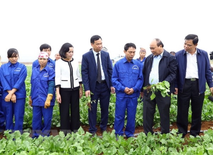 Thủ tướng Nguyễn Xuân Phúc thăm các cánh đồng nguyên liệu của Công ty Cổ phần thực phẩm xuất khẩu Đồng Giao. (Ảnh: TTXVN)