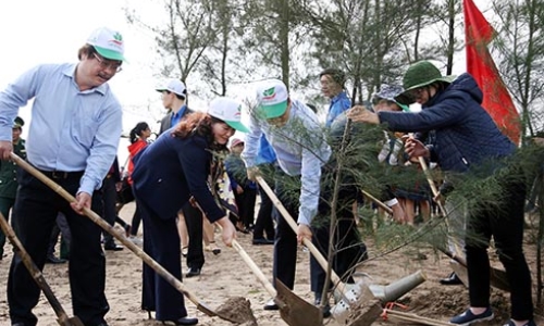 Ra quân trồng 3.000 cây phi lao chắn sóng, gió tại Nam Định