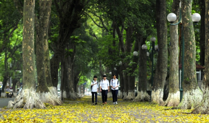 Phố Phan Đình Phùng - Hà Nội (Ảnh minh họa)