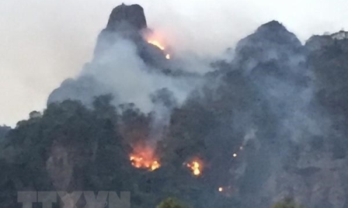 Cảnh báo nguy cơ cháy rừng cấp độ cực nguy hiểm tại nhiều tỉnh