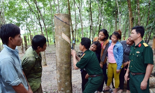 Xây dựng thế trận quốc phòng toàn dân trên địa bàn Tây Nguyên ngày càng vững mạnh