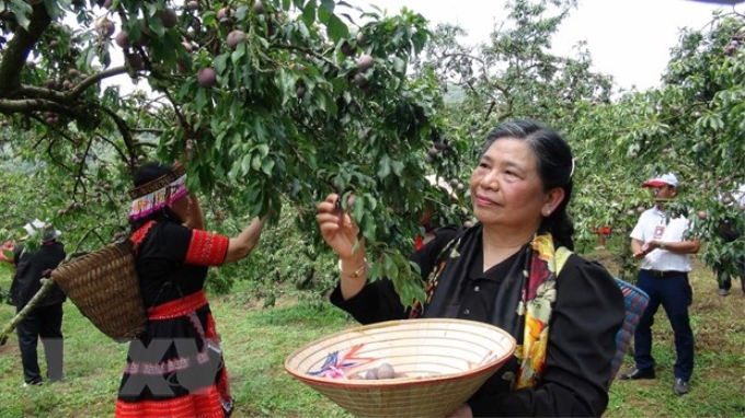 Phó Chủ tịch thường trực Quốc hội Tòng Thị Phóng tham gia ngày hội cùng người dân. (Ảnh: TTXVN)