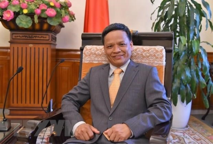 PGS. TS. Nguyễn Hồng Thao. (Ảnh: TTXVN)