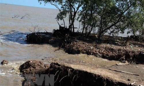 Kiên Giang công bố tình trạng sạt lở đê biển nghiêm trọng