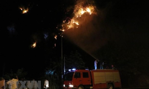 Ninh Bình: Vụ cháy rừng trên núi Vụng Quao được dập tắt hoàn toàn