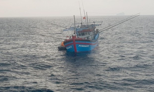 Đưa ngư dân Phú Yên bị tai nạn lao động trên biển vào bờ cấp cứu