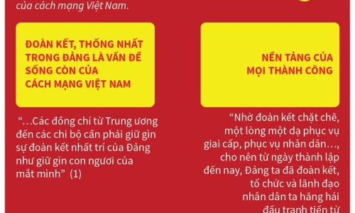 [Infographics] Đoàn kết, thống nhất là sức mạnh của Đảng