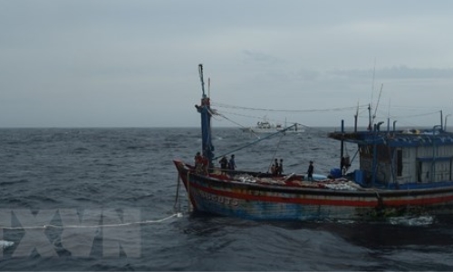 Đã cứu được 3 ngư dân Bình Định trôi dạt trên biển do bão